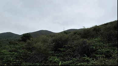 88a-5.jpg