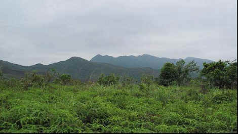 88a-8.jpg