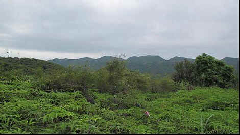 89a-9.jpg