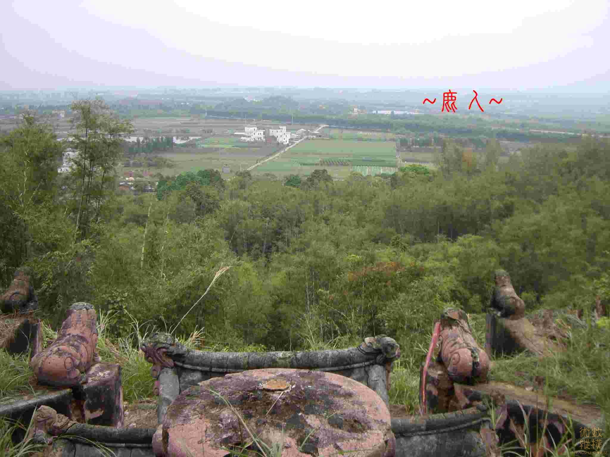 CIMG3281.JPG