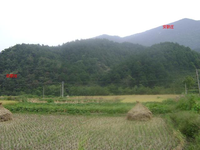 DSC00547.JPG