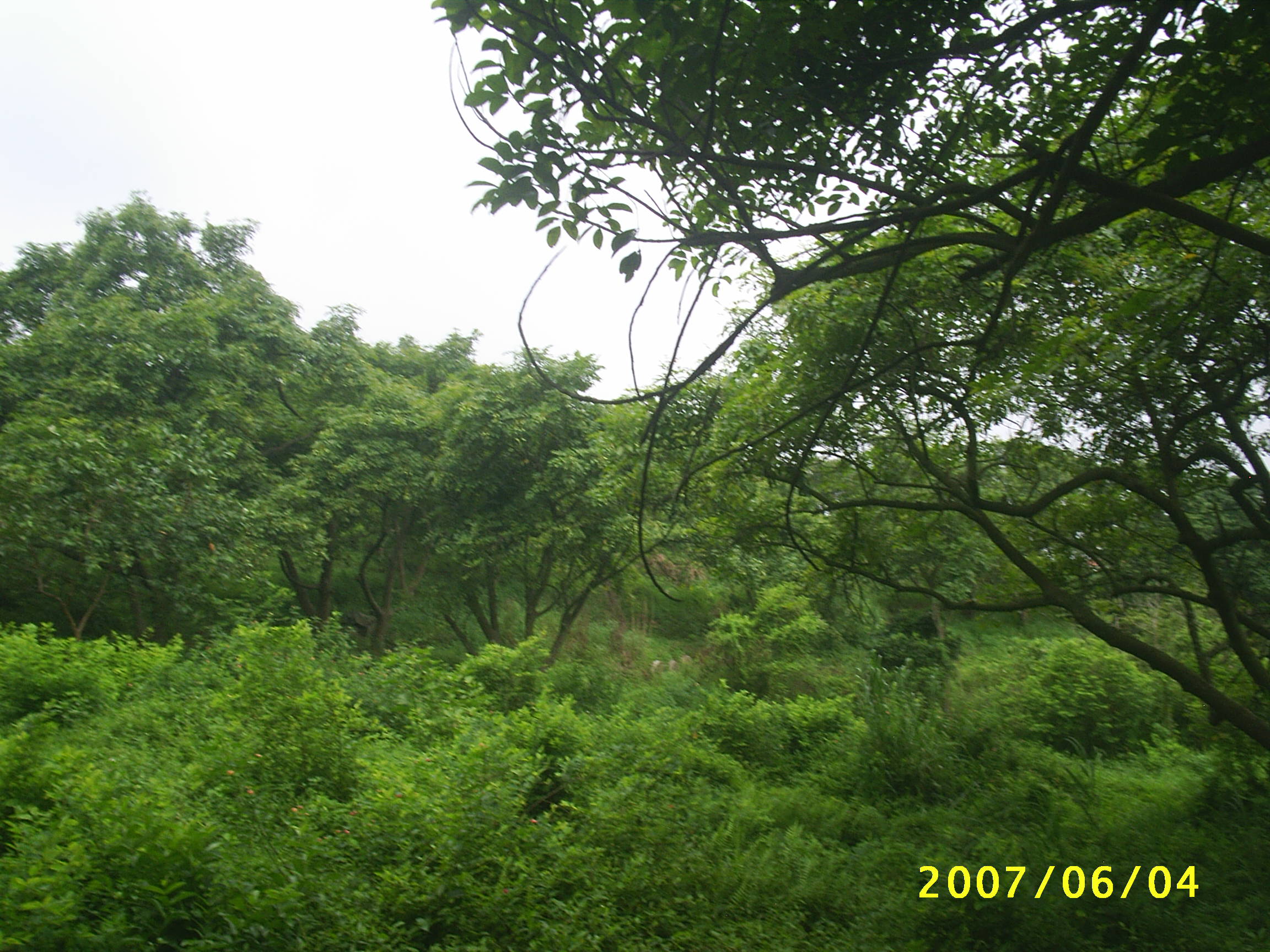 E035.JPG