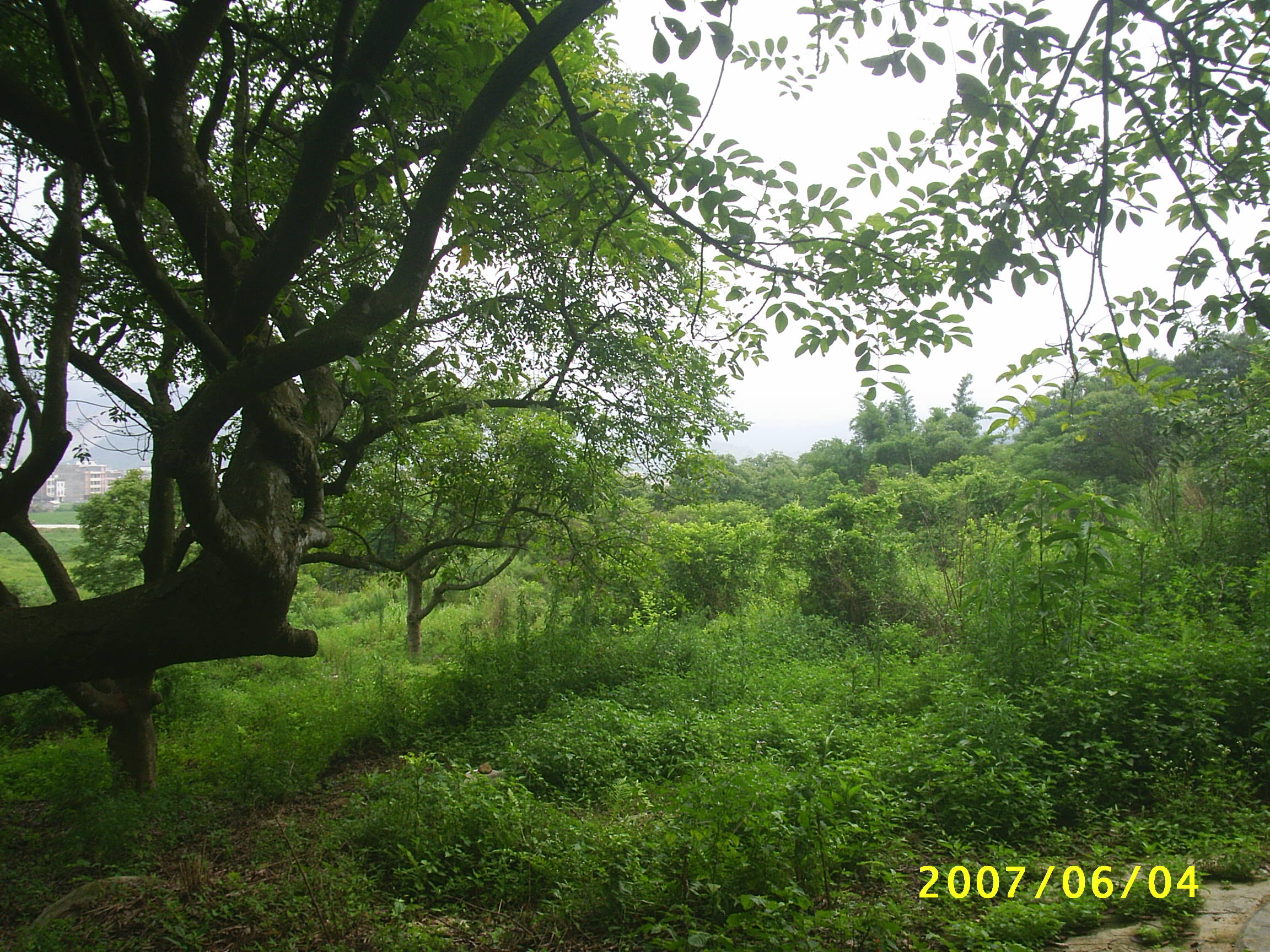 E036.JPG
