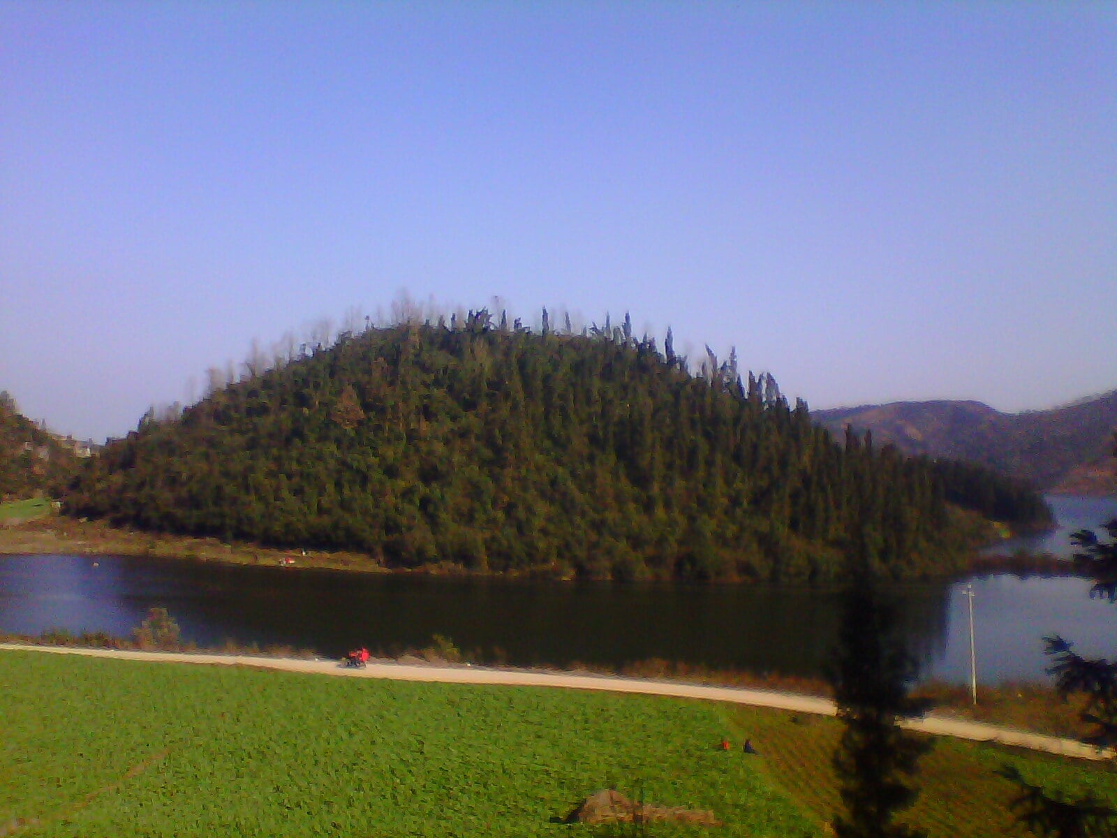 IMG03288.jpg