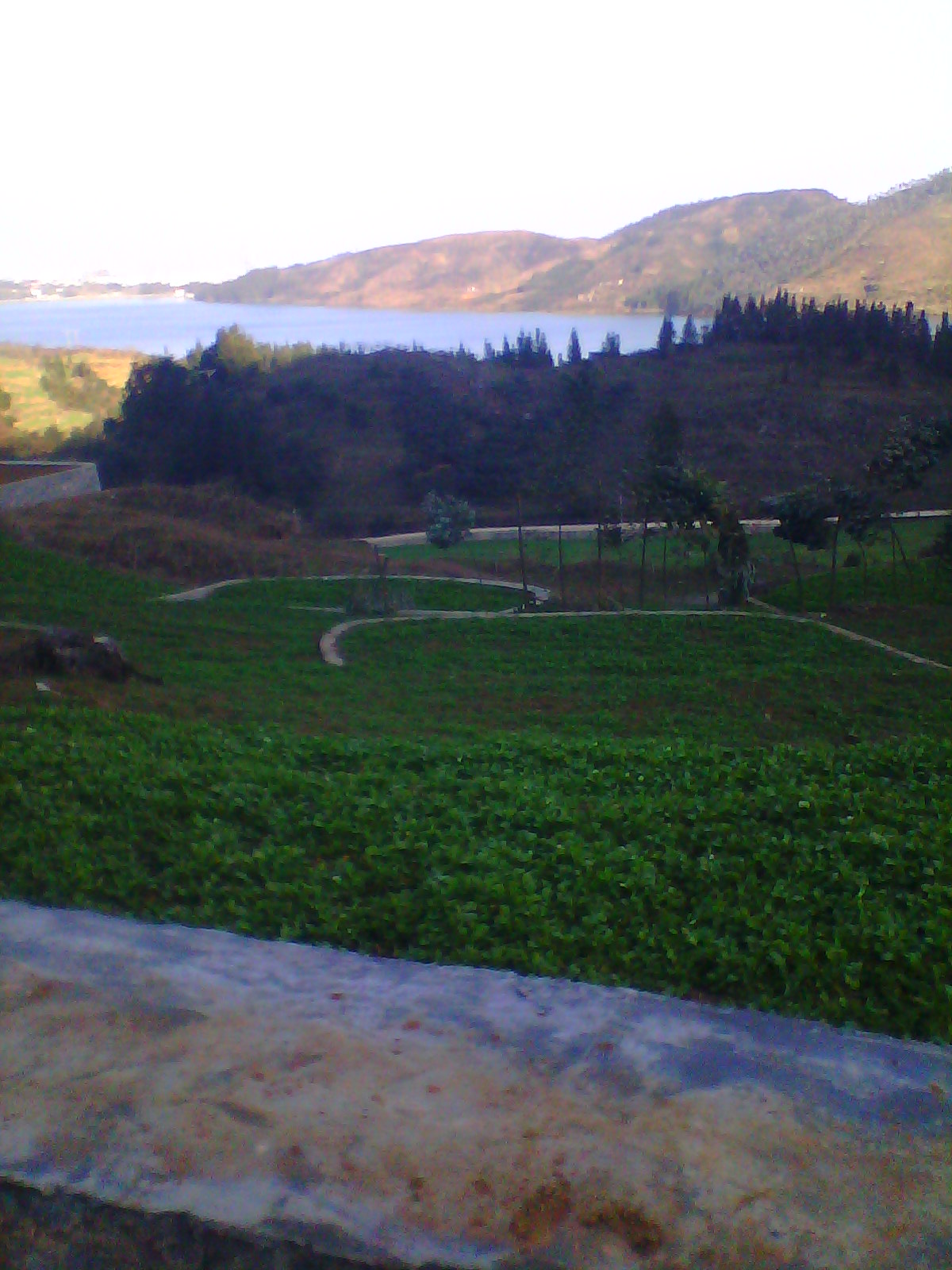 IMG03320.jpg