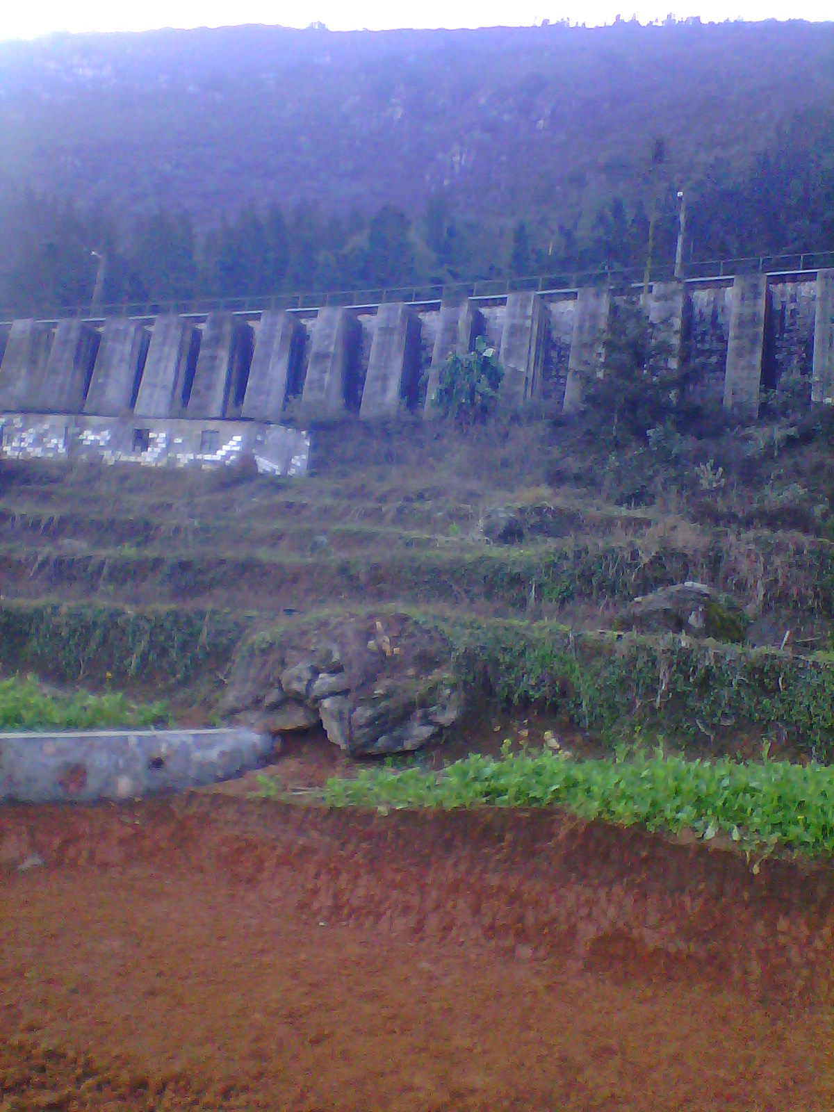 IMG03342.jpg