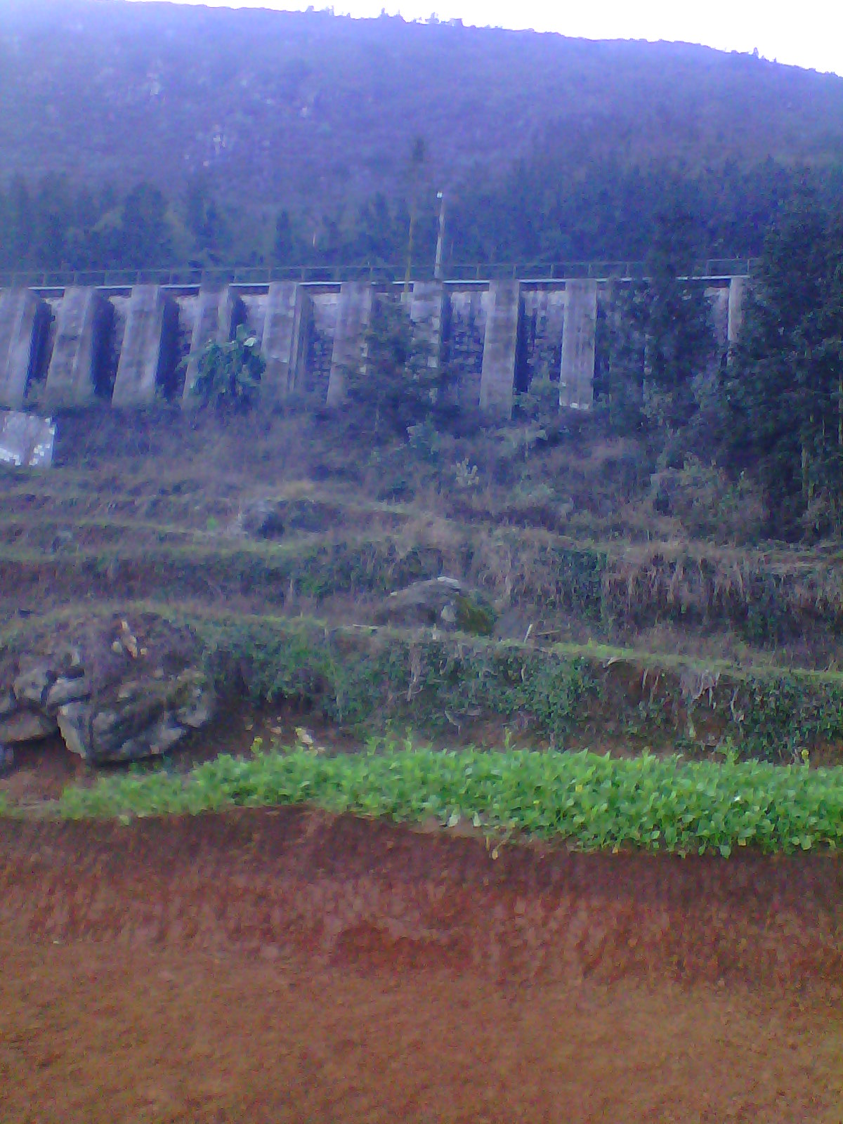 IMG03343.jpg