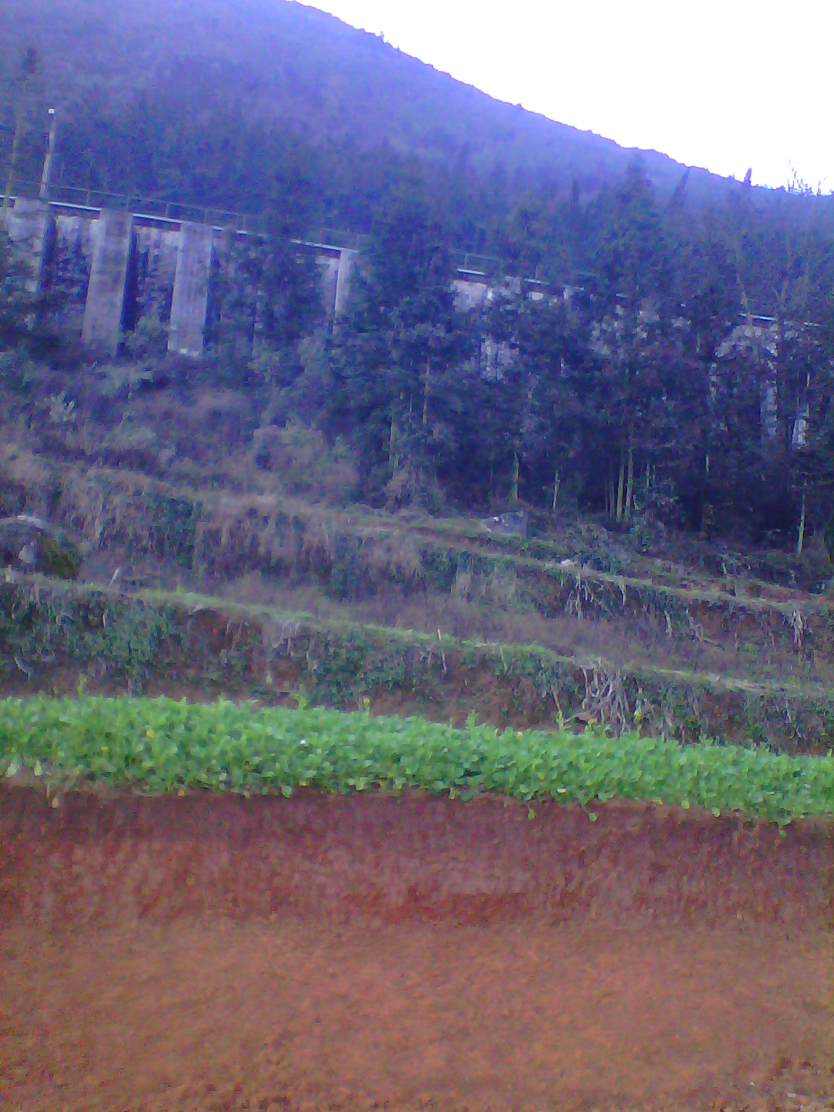 IMG03344.jpg