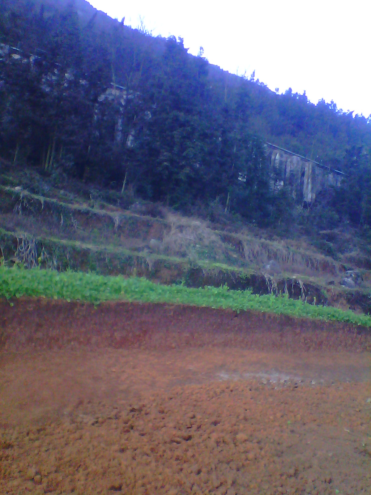 IMG03346.jpg