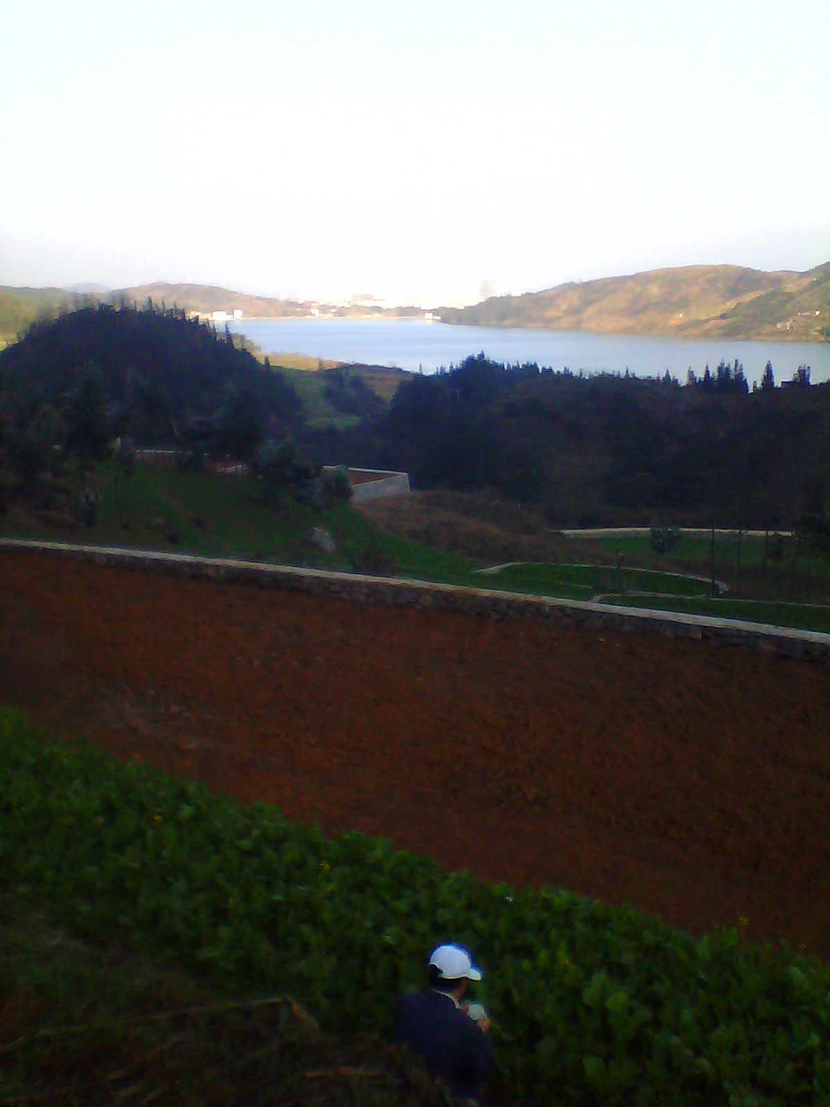 IMG03386.jpg