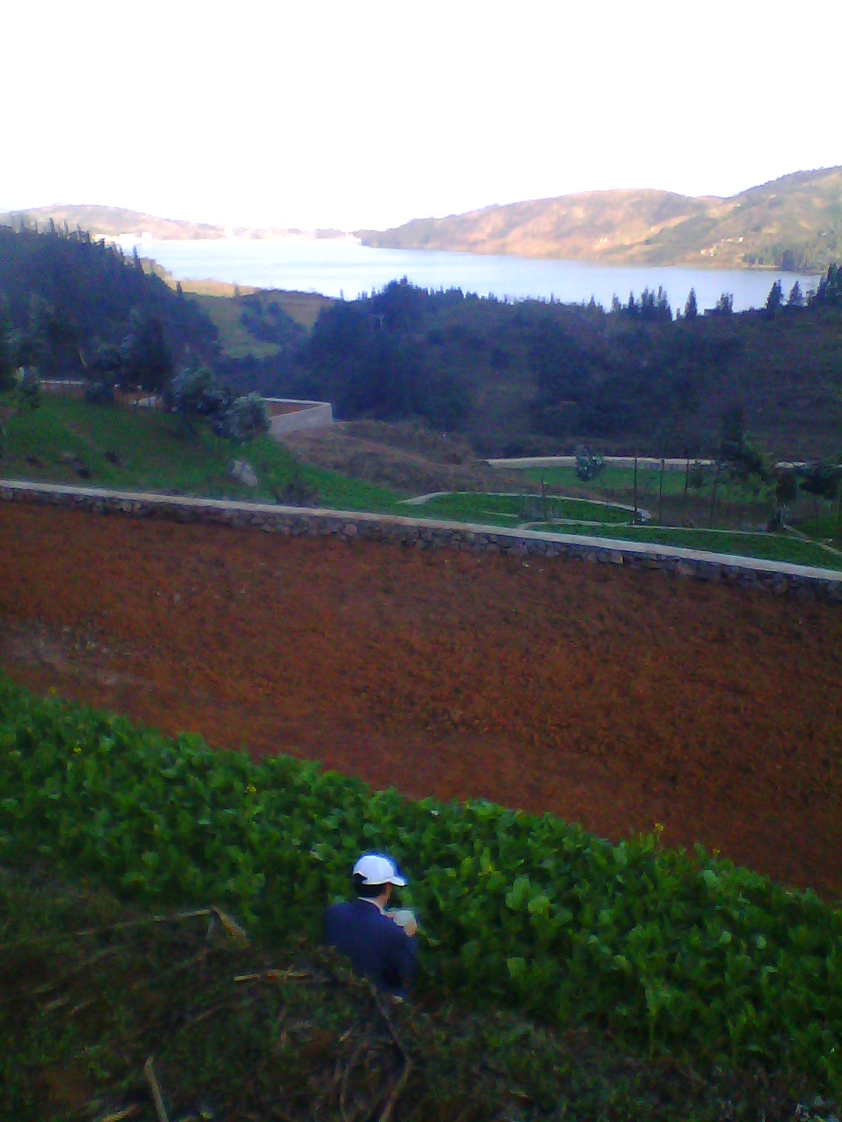 IMG03387.jpg
