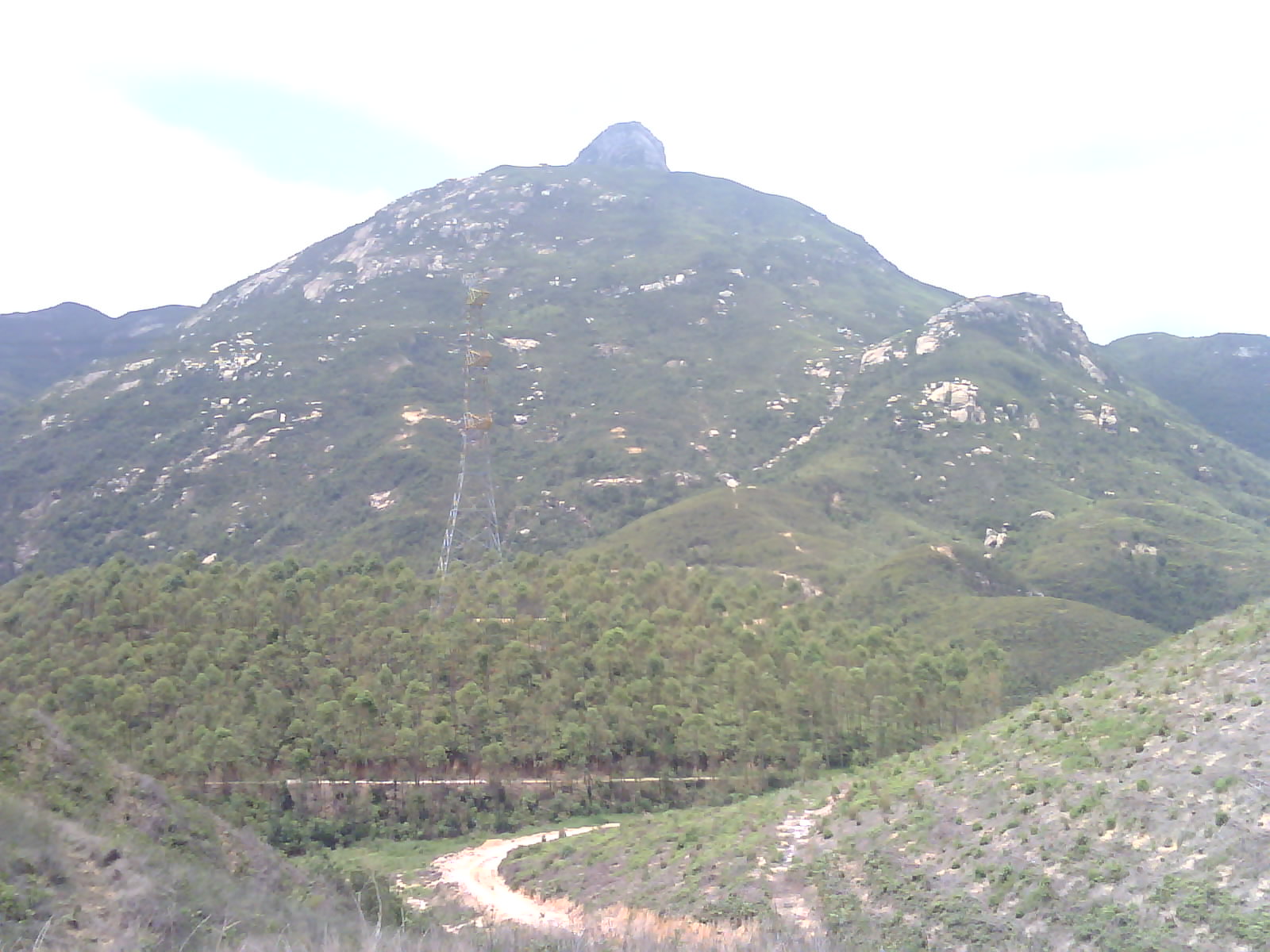 IMG0352A.jpg