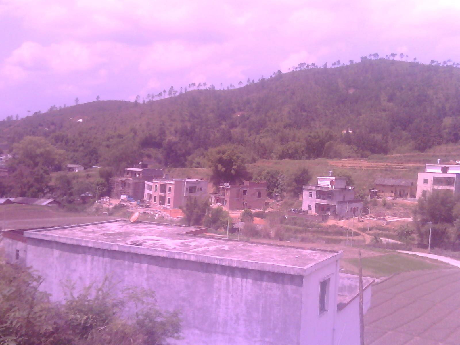 IMG4030A.jpg
