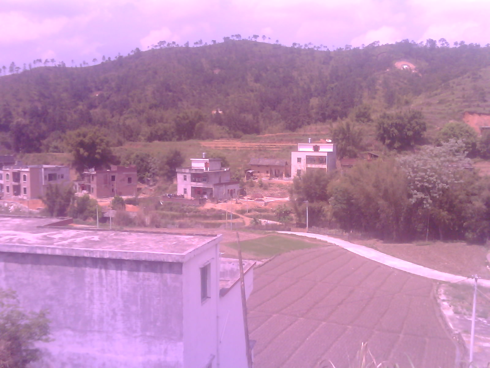 IMG4031A.jpg