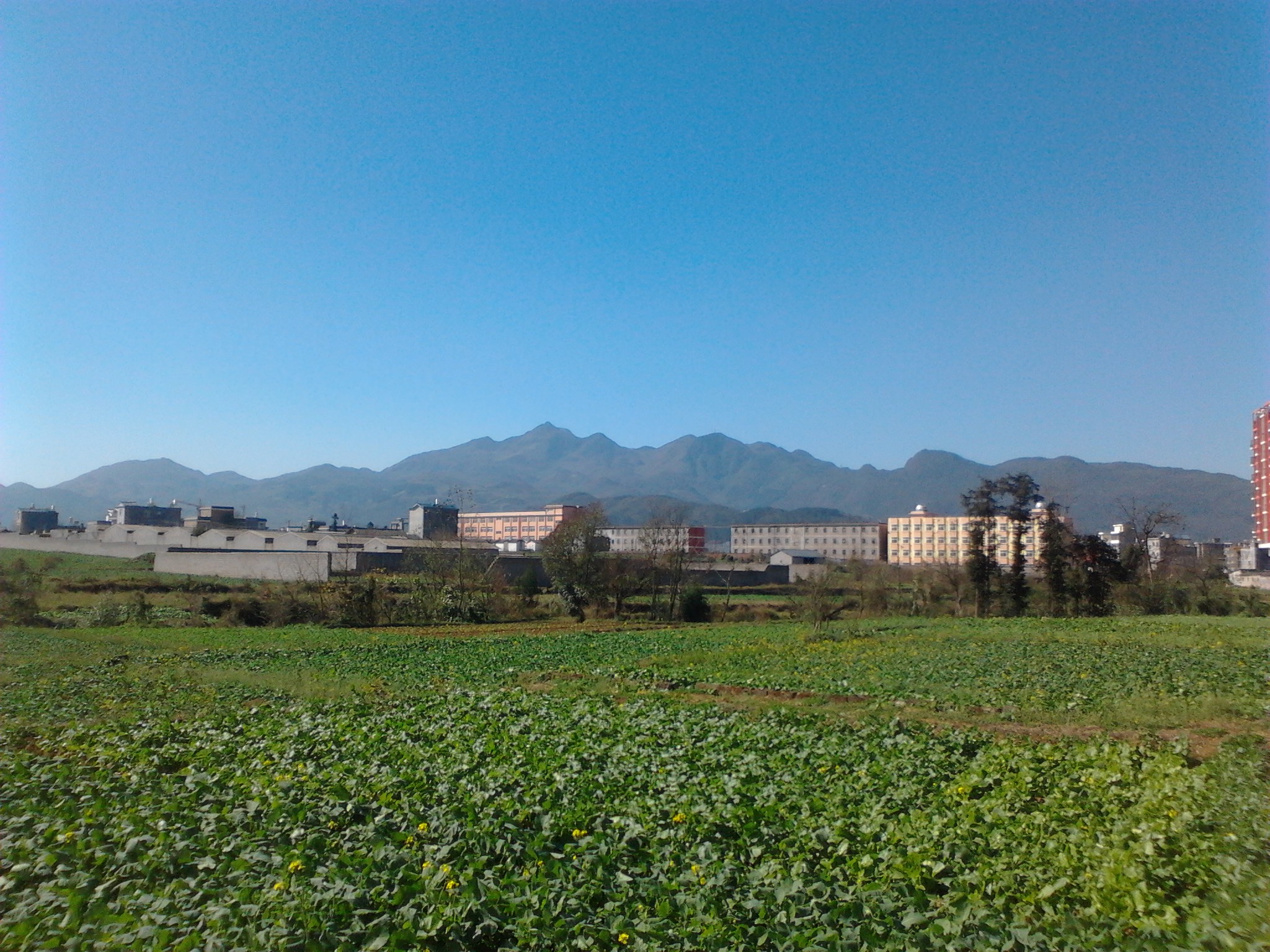 IMG_20121215_123231.jpg