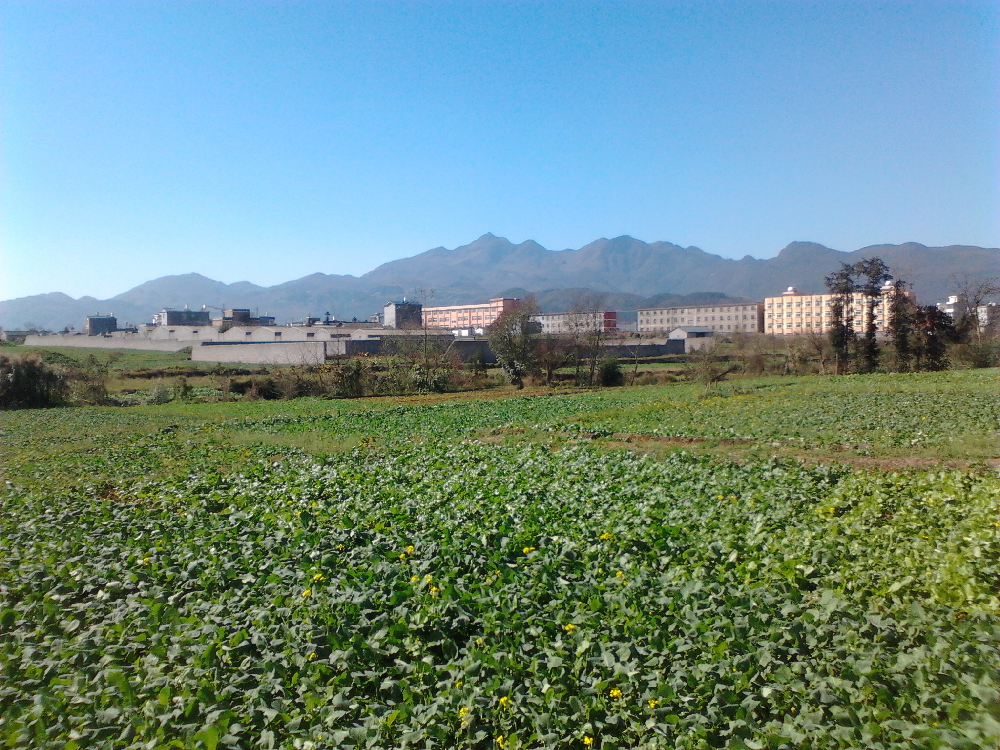 IMG_20121215_123240.jpg