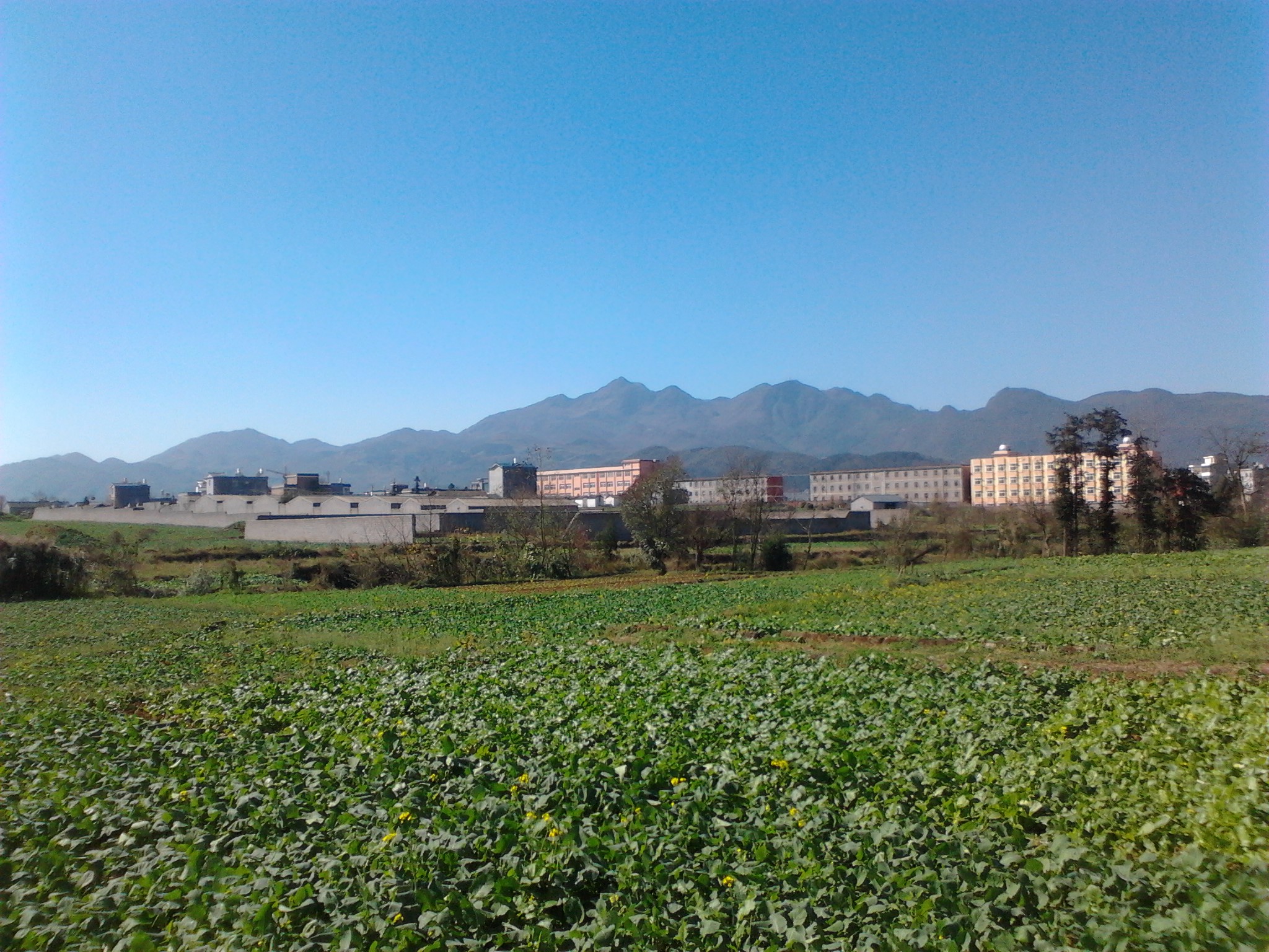 IMG_20121215_123246.jpg