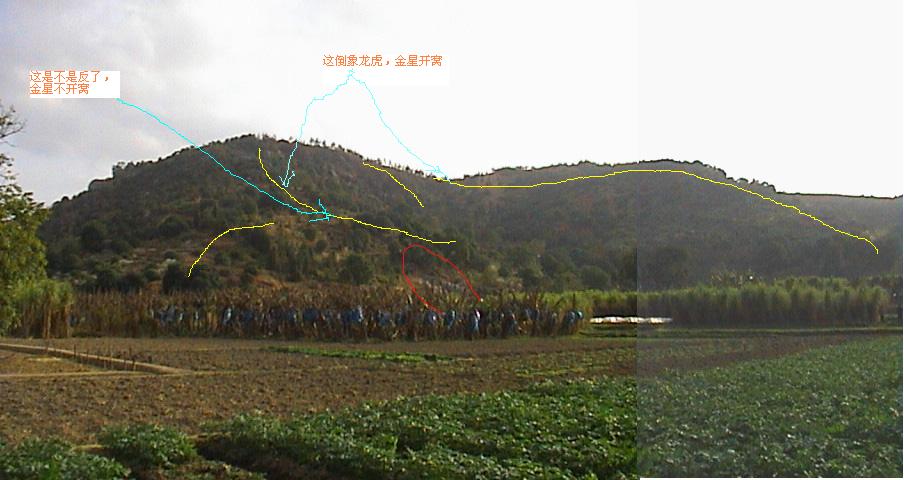狮子戏球穴星2.JPG