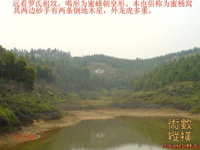 远看山坟.jpg