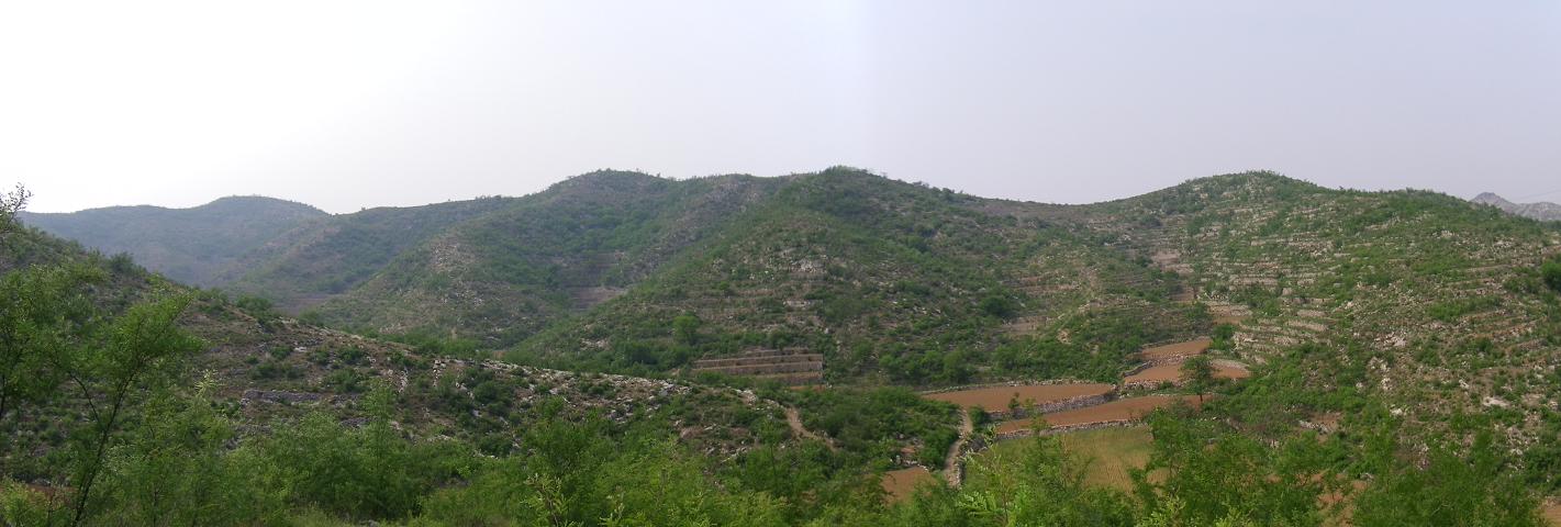 1.逆水龙帐和珠.JPG
