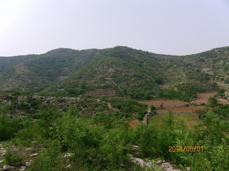 2.珠的青龙白虎.JPG