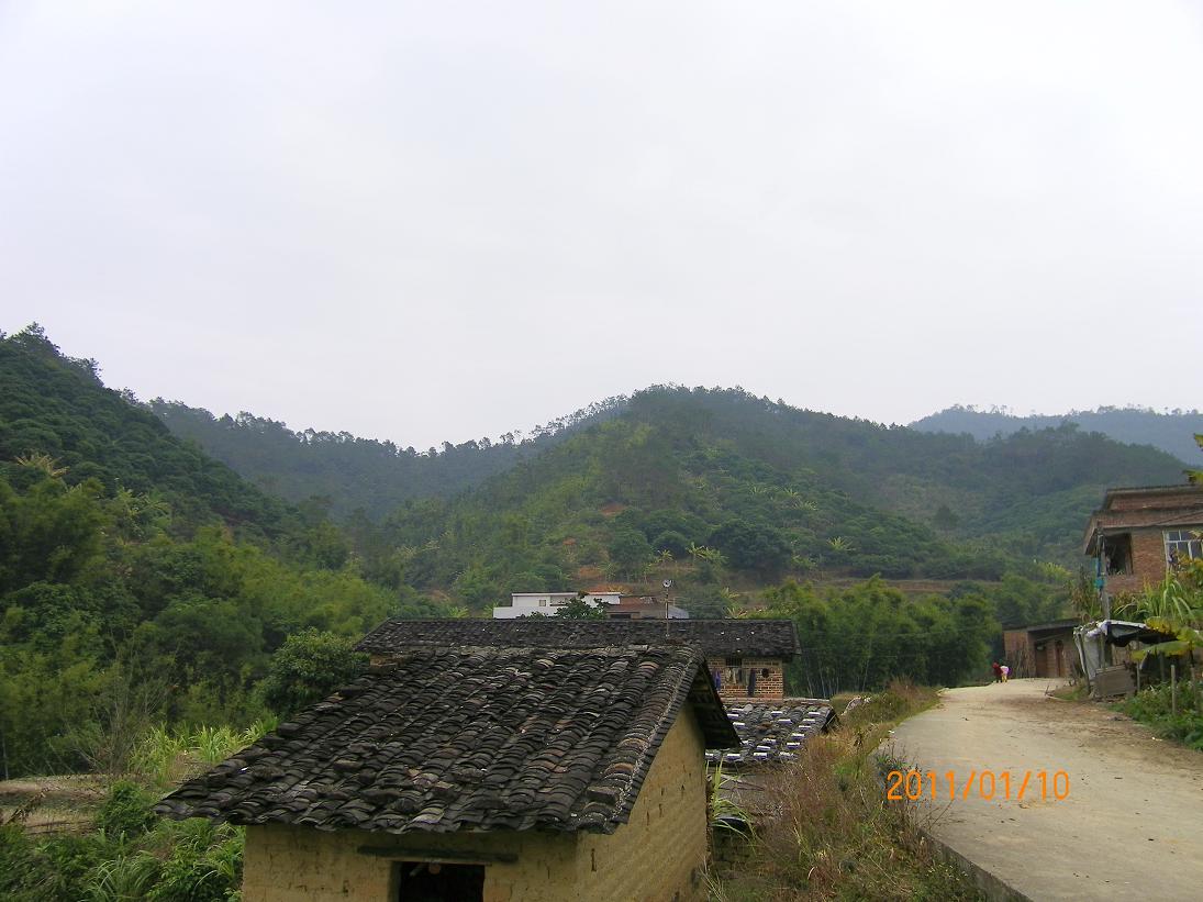 5.近看恋头一.JPG