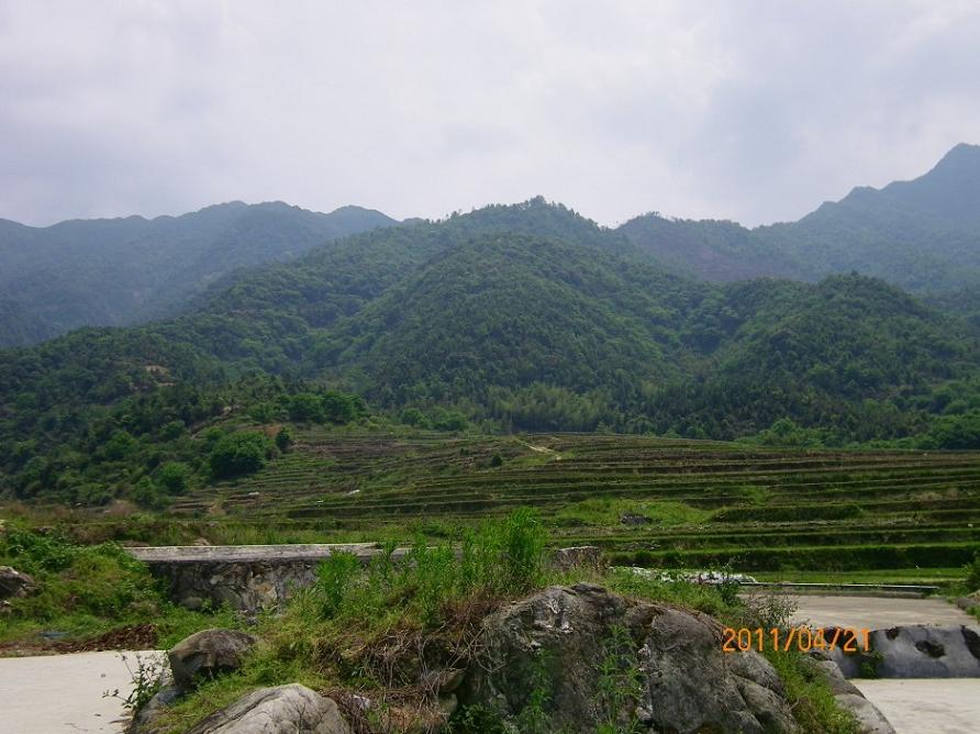 5．峦头二.jpg