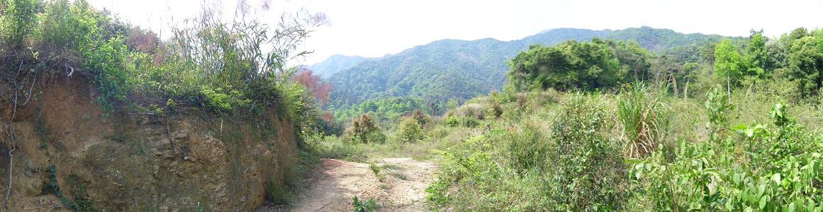 8.来龙入首二.JPG