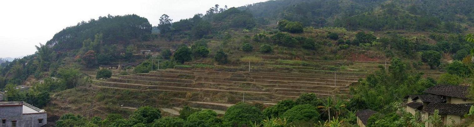 8.右白虎一.JPG