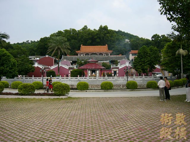 P1000790.JPG