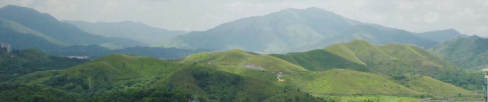 P1010077.JPG