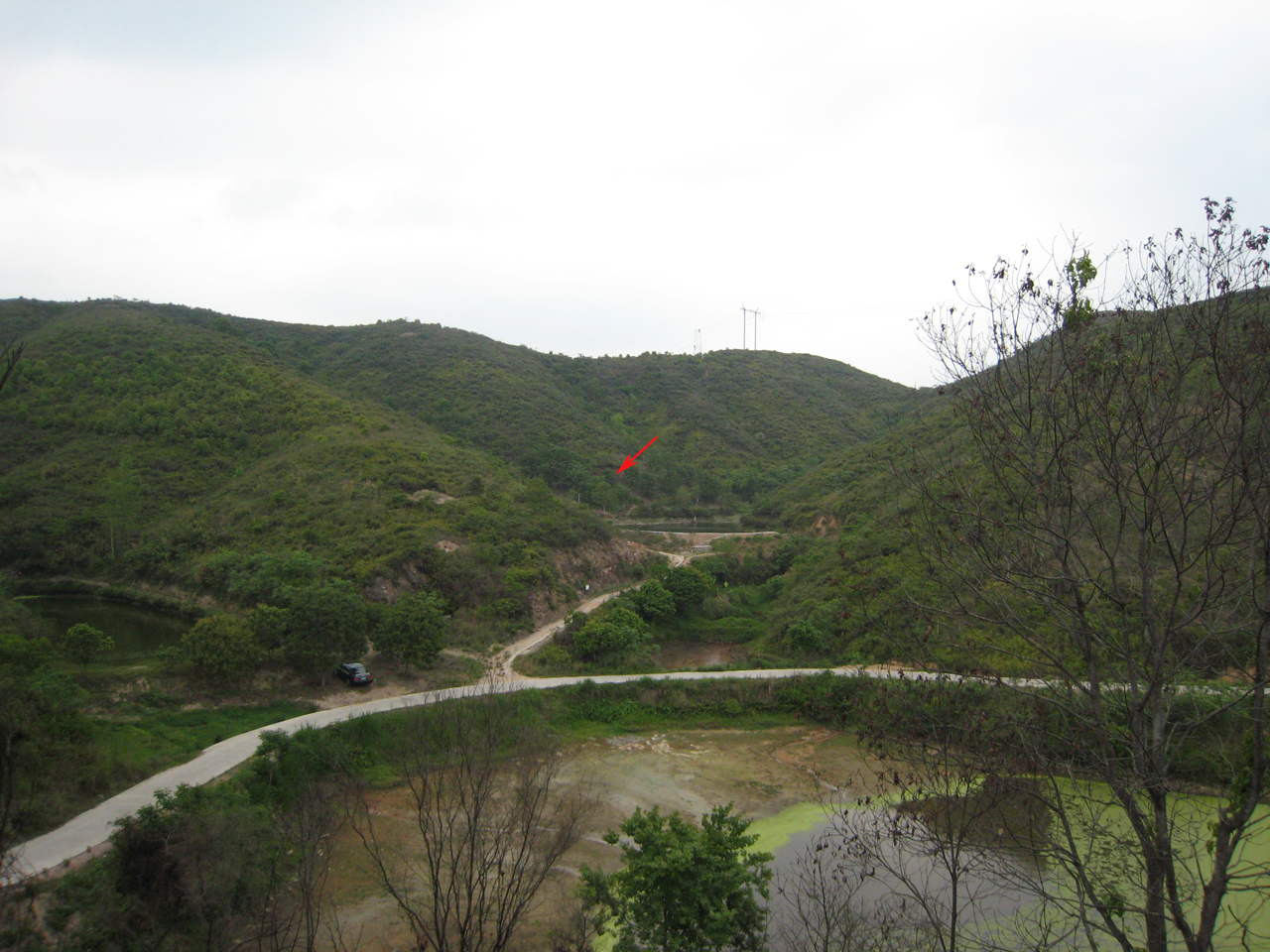 IMG_0939副本.jpg