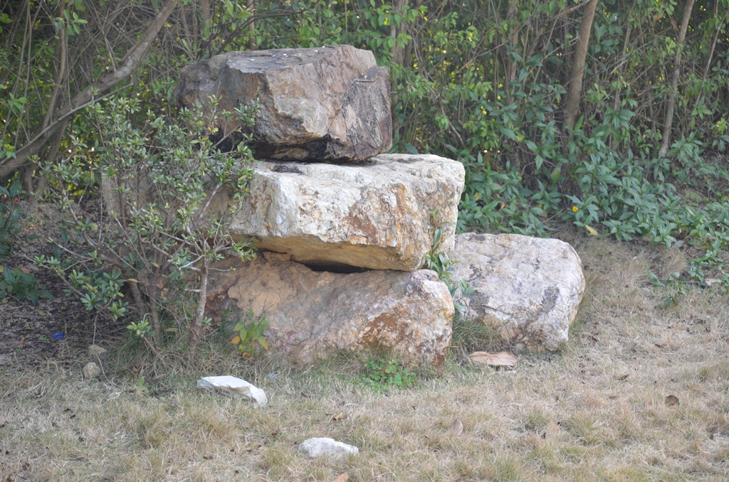 at12.jpg