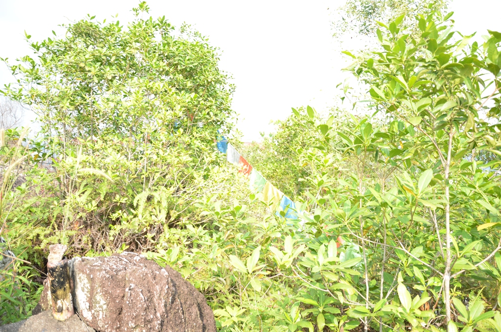 cantik6.jpg