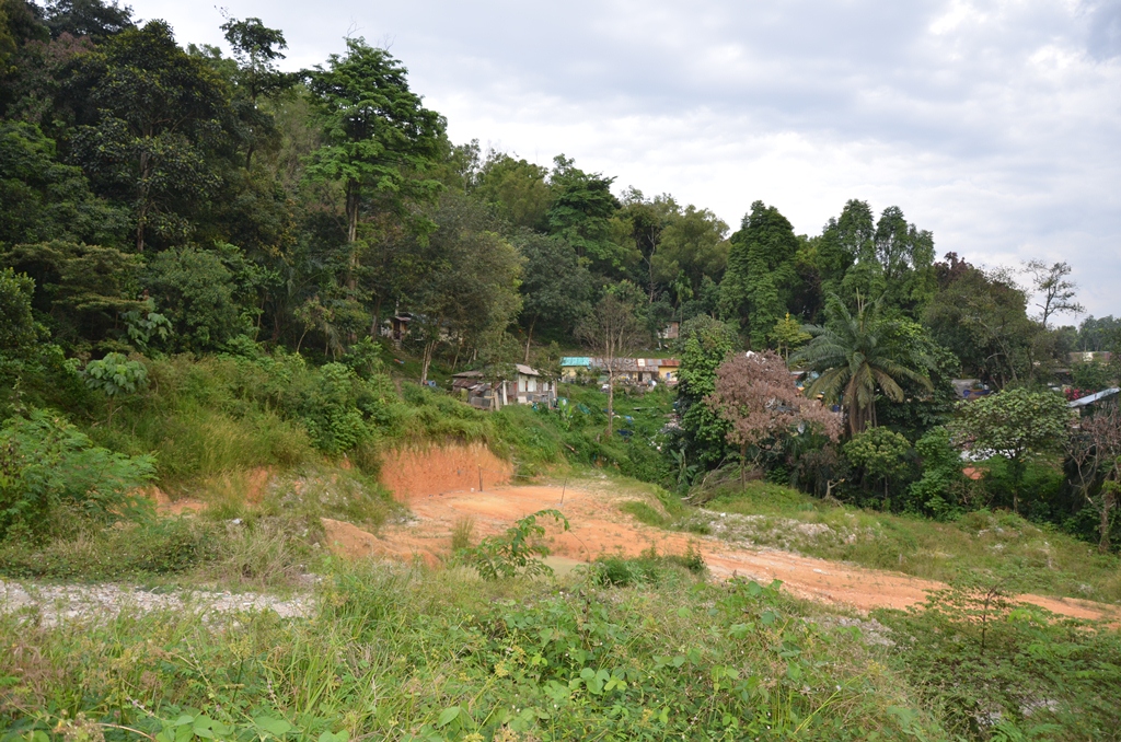 cantik.jpg