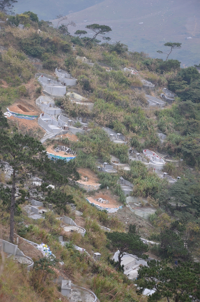 fushan17.jpg