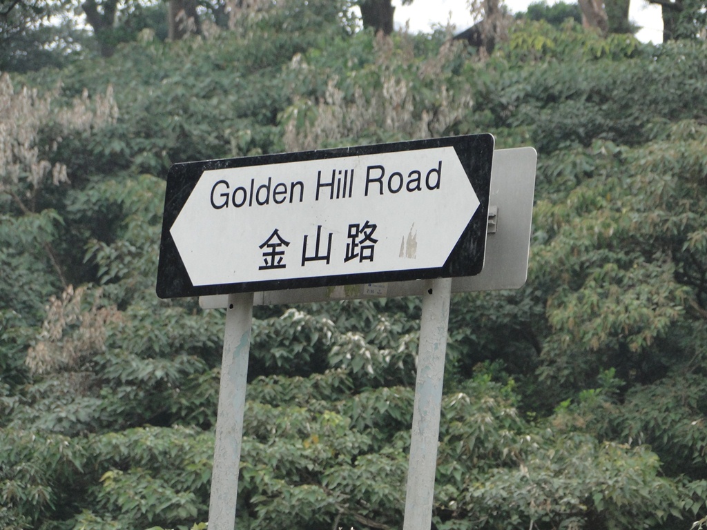 goldenhill.jpg