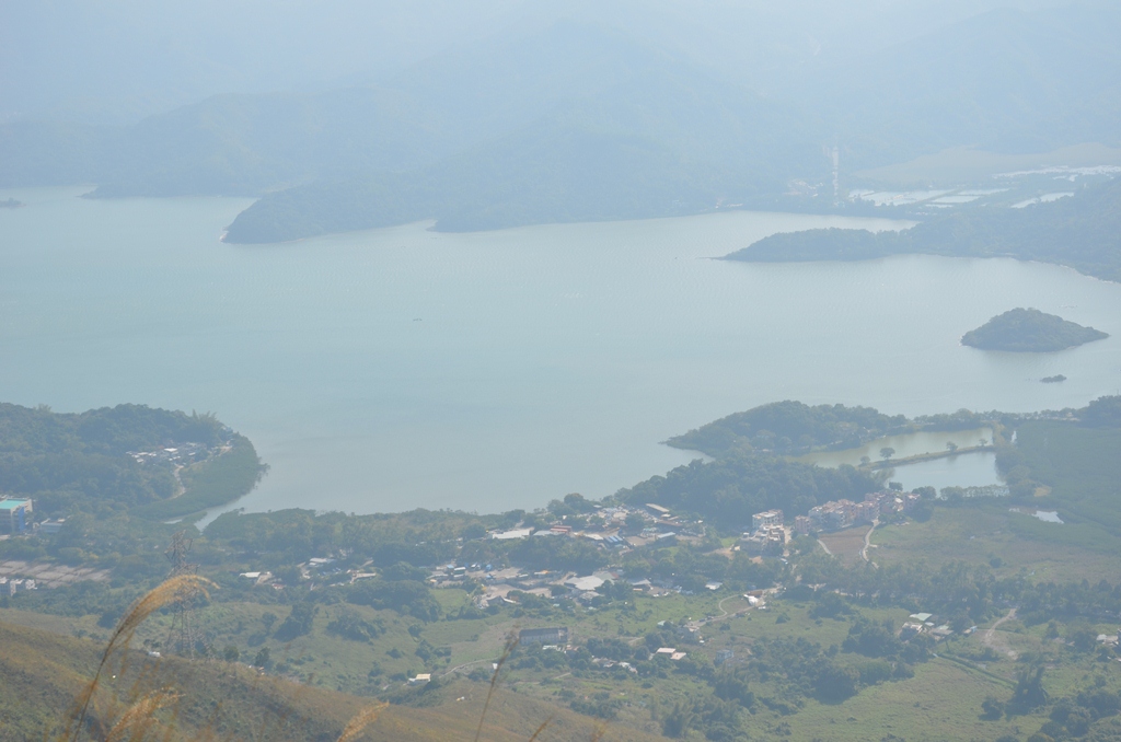 hong7.jpg