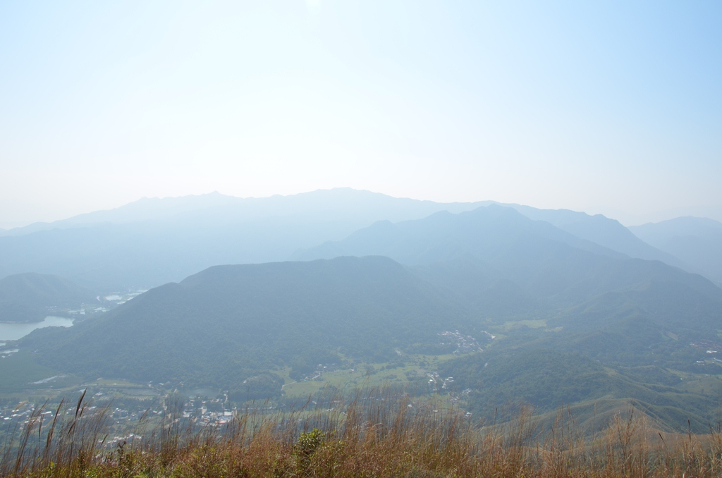 hong8.jpg