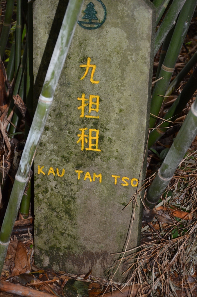 kau2.jpg