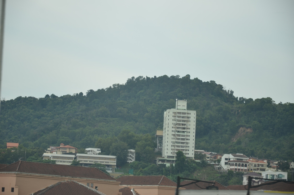 malayc11.jpg