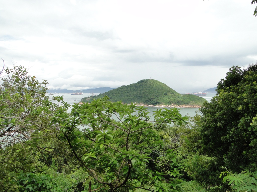 mawan8.jpg