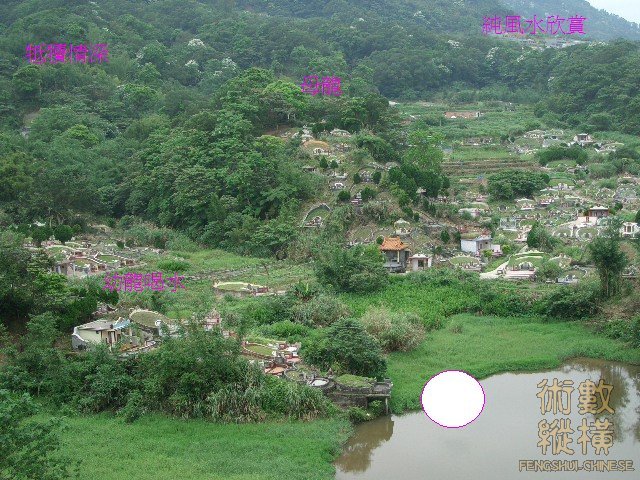 小龍喝水.JPG