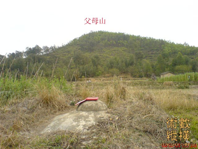 父母山.jpg