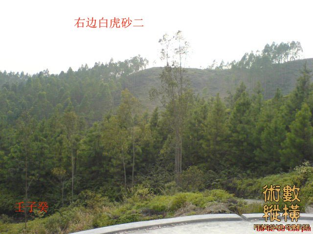 右边白虎砂二.jpg