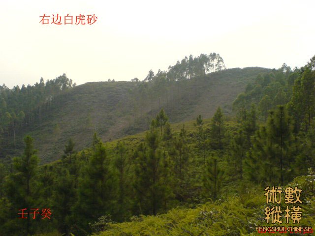 右边白虎砂.jpg