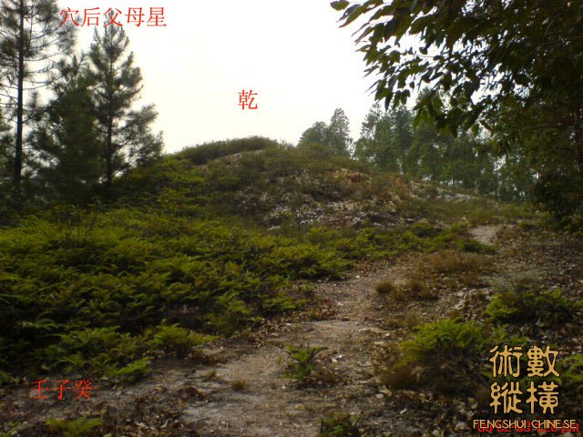 穴后父母星.jpg