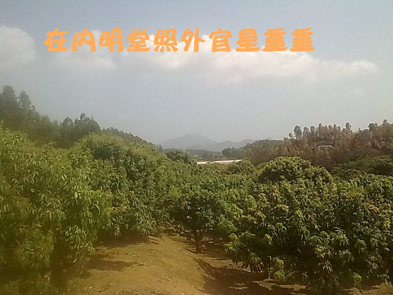 在内明堂照外官星重重.jpg