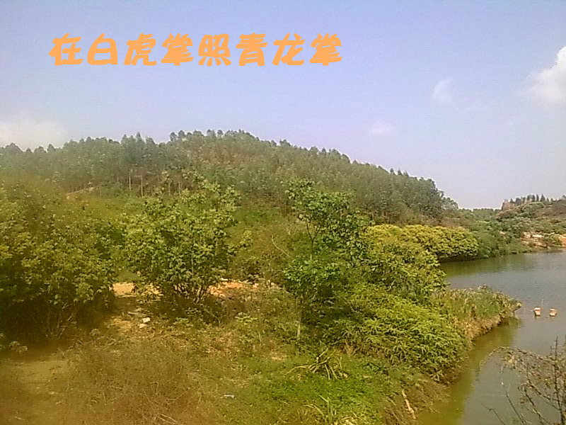 在白虎手掌照青龙手掌.jpg