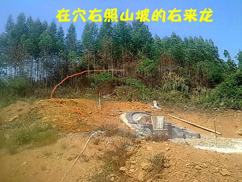 在穴右照山坡的左来龙.jpg